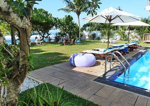 Im Garten des Sithnara Ayurveda Resorts spenden Kokospalmen Schatten