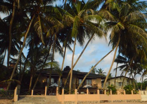 Oase in der Palmenlandschaft Sri Lankas, direkt am Meer - die Safira Beach Residence