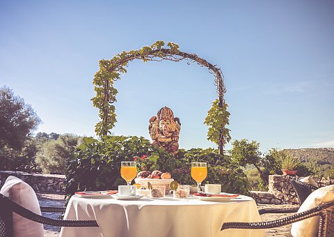 Das Frühstück auf der Finca Son Mola Vell auf Mallorca kann sich sehen lassen: hausgemachte vegetarische Dips, eine große Auswahl an spanischem Käse, frischer Obsalat und vieles mehr...