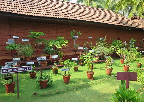 Das Nattika Beach Resort hat seinen eigenen Kräutergarten, aus dem die Kräuter für Behandlungen und das ayurvedische Essen stammen