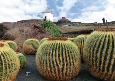 Jardín de Cactus - Kakteengarten auf Lanzarote