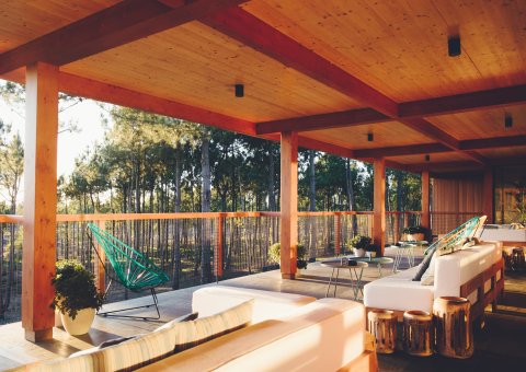 In der offen gestalteten Lounge mit Terrasse genießen Sie die Aussicht auf den Wald