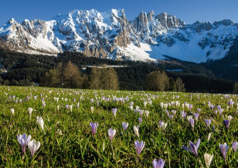 Erkunden Sie die wunderschöne Natur in Südtirol