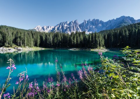 Erholen Sie sich auf den Wanderungen durch Südtirol und entdecken Sie den Latemar