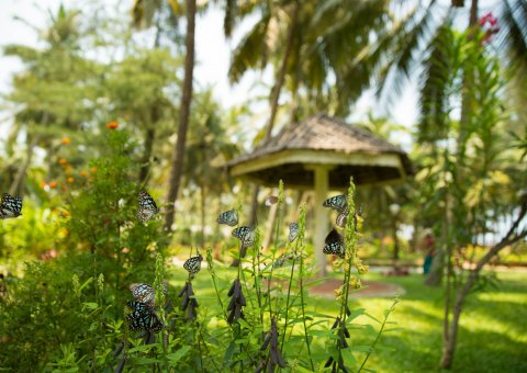 Spüren Sie die Verbundenheit mit der Natur im Sitaram Beach Retreat