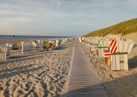 Erkunden Sie den Strand auf Baltrum bei einem Spaziergang