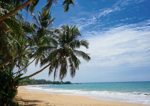 Der Blick über den weiten Sandstrand Sri Lankas - herrlich!