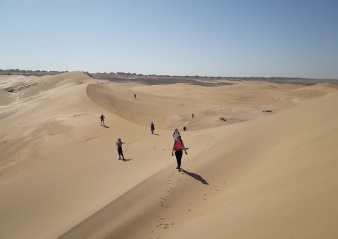 Genießen Sie Ausflüge in die weite Wüste der Sahara