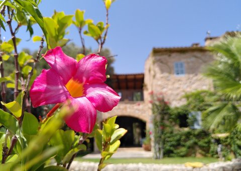 Blumen & eine Finca - Was möchte man mehr?