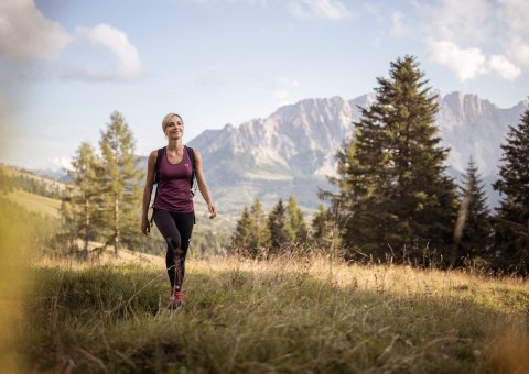 In der Nähe des Hotel Engel gibt es viele schöne Wanderwege