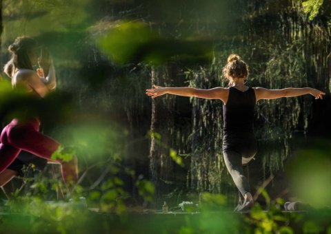 Neue Kraft beim Yoga in der Natur tanken