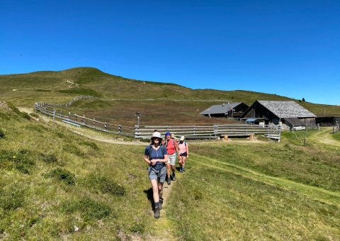 Beim Wandern können Sie die Landschaft Südtirols wirklich wahrnehmen