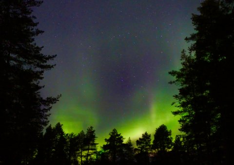 Erleben Sie mit etwas Glück die Aurora Borealis