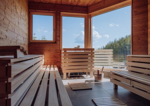 Entspannung pur in der Sauna mit Blick auf die Natur