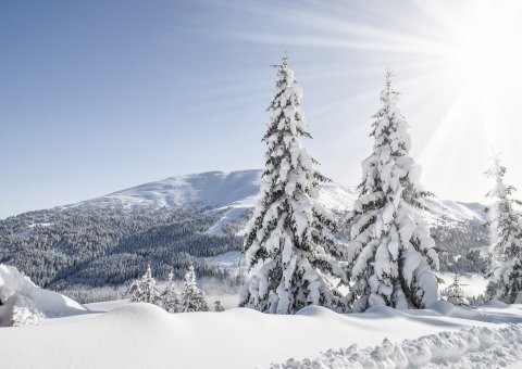 Das Katschberg bietet ein ausgiebiges Aktiv-Angebot im Winter