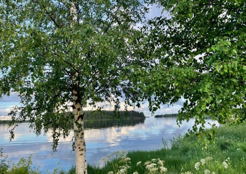 Tanken Sie Kraft in der Natur Schwedens